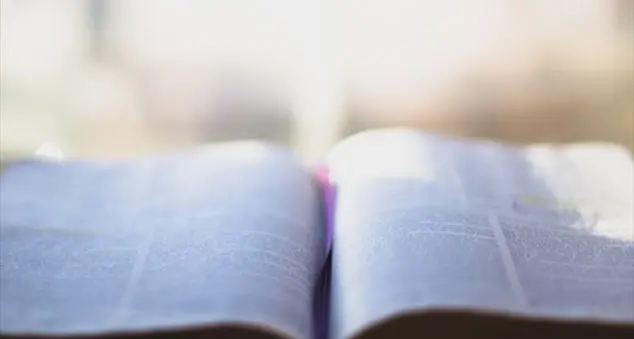 «La Chiesa ha scelto tra Vangeli canonici e apocrifi come gli faceva comodo»