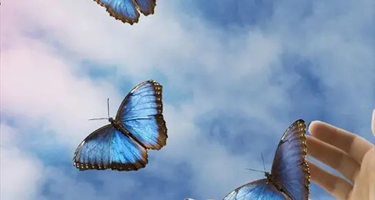 L'ultimo respiro di Sara prima di volare in cielo