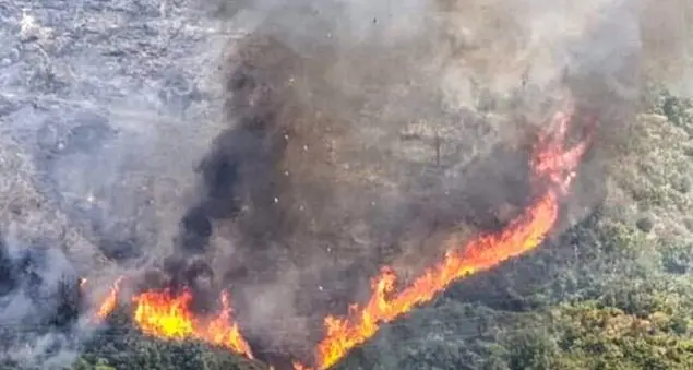 La mia notte d'angoscia nella mia Corigliano Rossano in fiamme