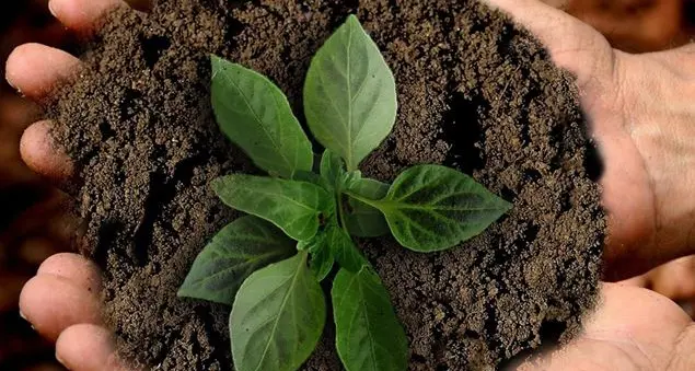 Un’eredità comune