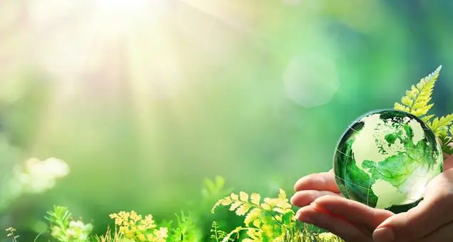 Casa comune, dove tutto è armonico e organico