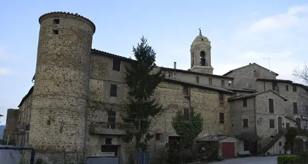 Alla ricerca dell'armonia con il mondo seguendo la Laudato si'