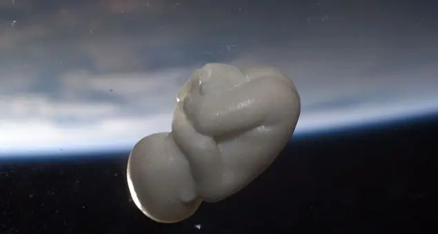 \"Il mio bimbo di marmo volato nello spazio\"