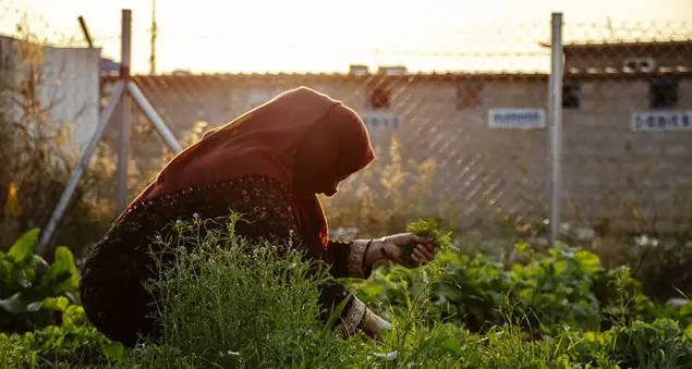 Conflitti, Covid-19 e cambiamenti climatici affamano il mondo