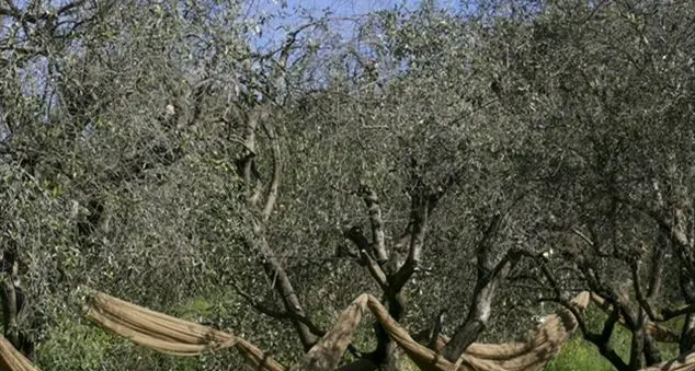 Il lavoro ci può rendere felici?