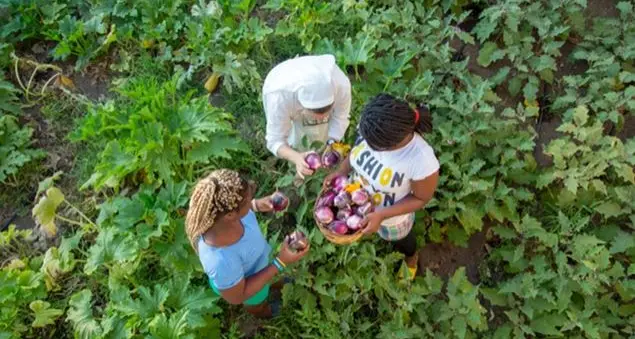 «Uniti contro la tratta di esseri umani», l'appello ai governi delle religiose di Talitha Kum