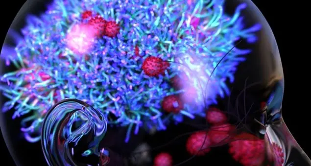 Il cervello come percepisce la bellezza?