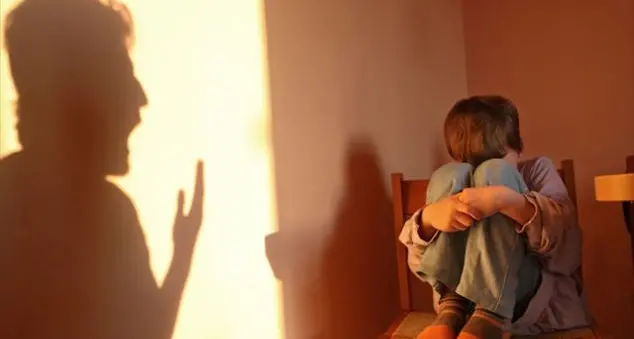 \"Mio figlio ha insultato mio nipote pesantemente e io non potevo stare zitta\"