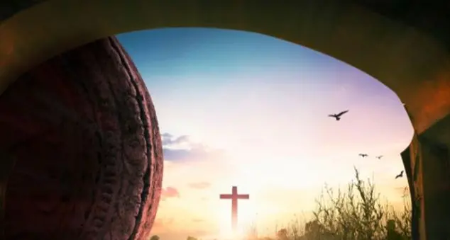 La vittoria di chi sa perdere