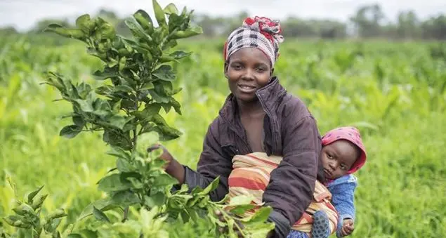 Come i disastri climatici hanno conseguenze negative soprattutto sulle donne