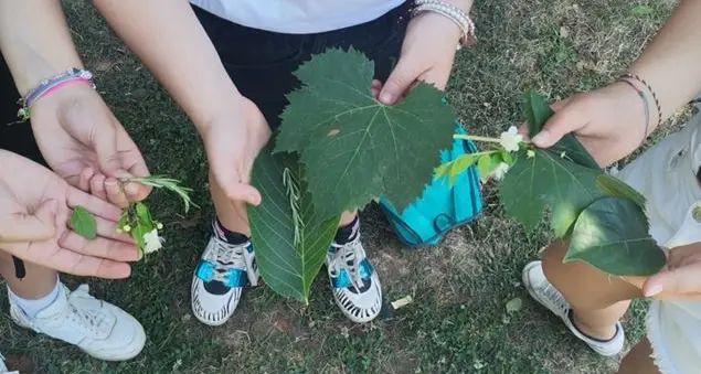 Con i Green Village di Horticultura d'estate i bambini diventano piccoli agricoltori