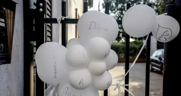 «Se qualcuno avesse allertato i servizi sociali, la tragedia della piccola Diana non sarebbe successa»