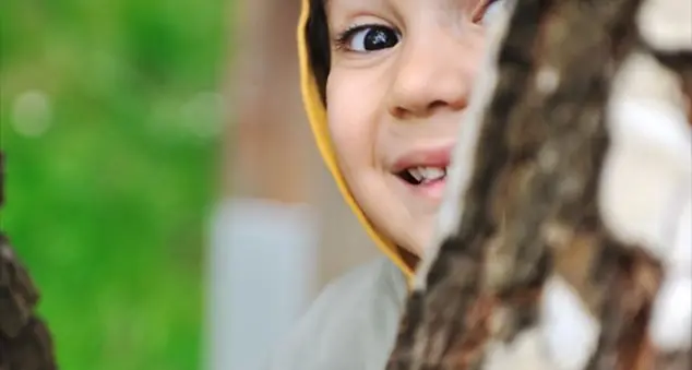 «Suo nonno gli racconta di quel grande albero, e lui abbandona i videogiochi»