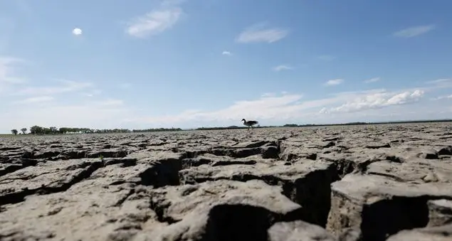 Agire per l'ecologia integrale nelle diocesi e nei territori