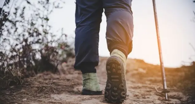La lezione della valigia