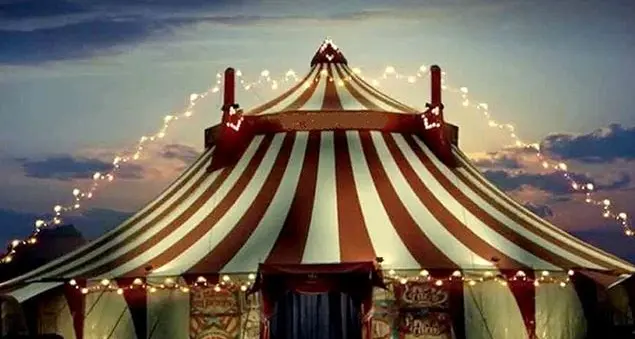 Mai più animali nei circhi: in Italia arriva la legge