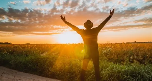 Come posso obbedire e restare libero?