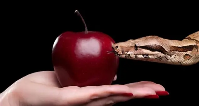 Dio non ci abbandona “alla” o “nella” tentazione?