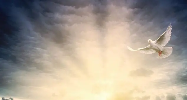 La Novena di Pentecoste ci aiuta imparare di nuovo a pregare