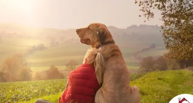 \"Quattrozampeinfamiglia\", per trovare casa a cani e gatti abbandonati