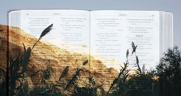 Bibbia e archeologia, quando la Storia contraddice i testi sacri