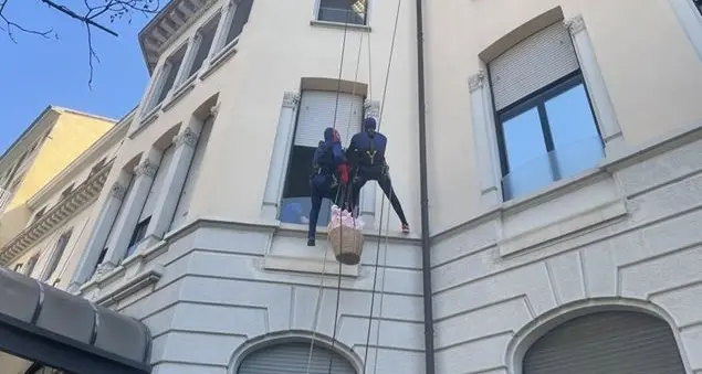 Sette Spiderman per portare 100 uova di cioccolato ai bambini in ospedale