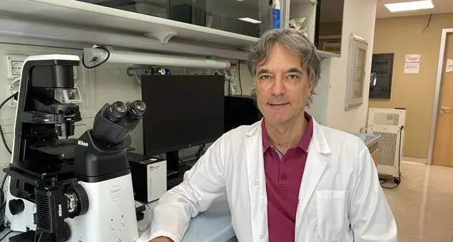 Alzheimer: una molecola potrebbe bloccare la malattia