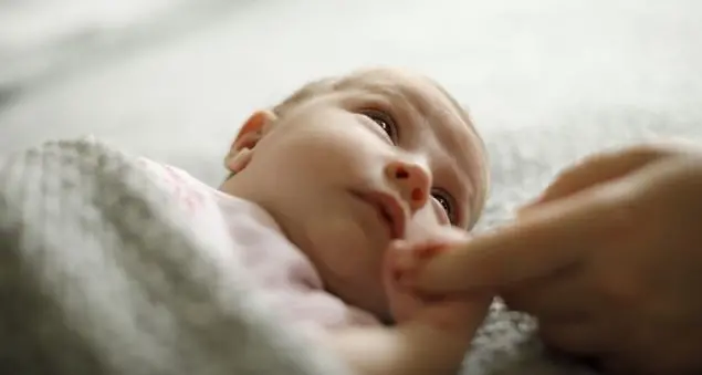 Non c'è pace senza protezione e accoglienza della vita sin dal concepimento