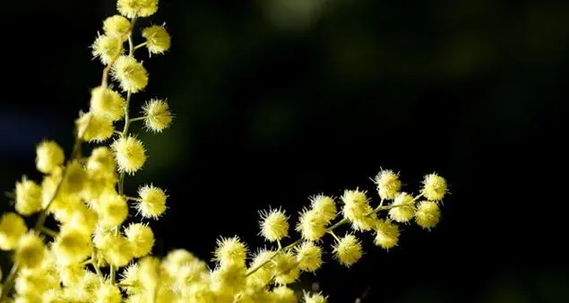 Il mondo oggi più che mai ha bisogno delle donne