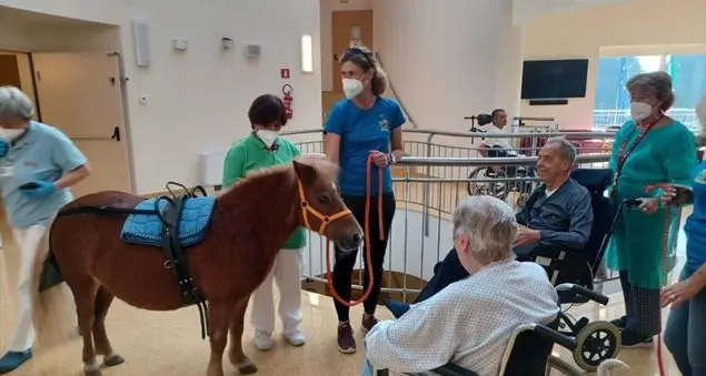 Anche il pony Trilli tra i \"pet\" che danno conforto ai malati nelle case del sollievo Vidas