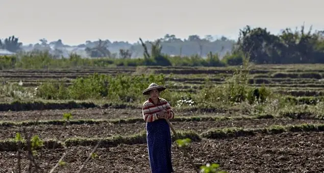 L''allarme di Cesvi: 750 milioni di persone nel mondo soffrono la fame
