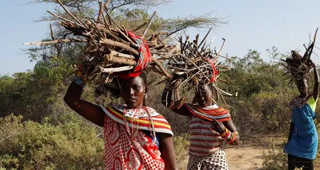 Nel 2024 quasi 4,4 milioni di bambine e ragazze a rischio di subìre l'atroce pratica del \"taglio\"