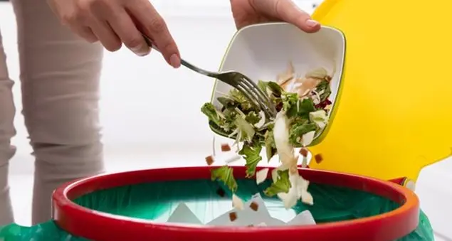 Italia sprecona: risale lo sperpero alimentare nelle famiglie