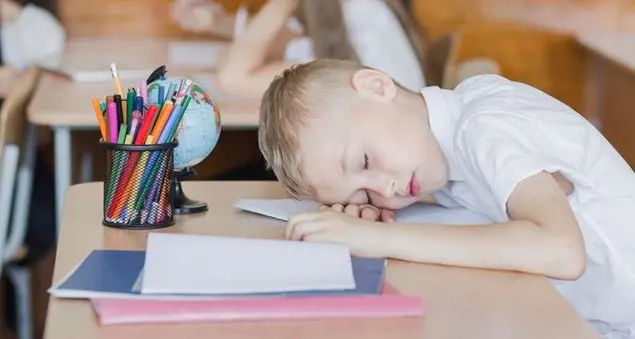 «In classe non si concentrano più. Che fatica fare lezione così»