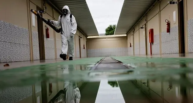 Epidemia di dengue, in Brasile è emergenza