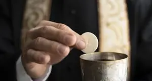 Quelle patatine birichine