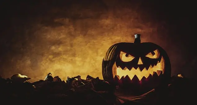 «Halloween è una festa diabolica. Usiamo bene il cervello che non è una zucca vuota»