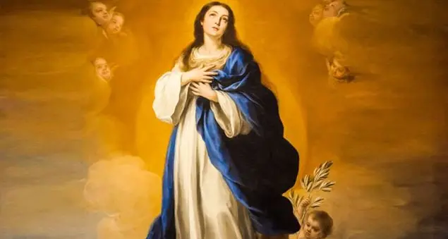 Immacolata, ecco le cose da sapere