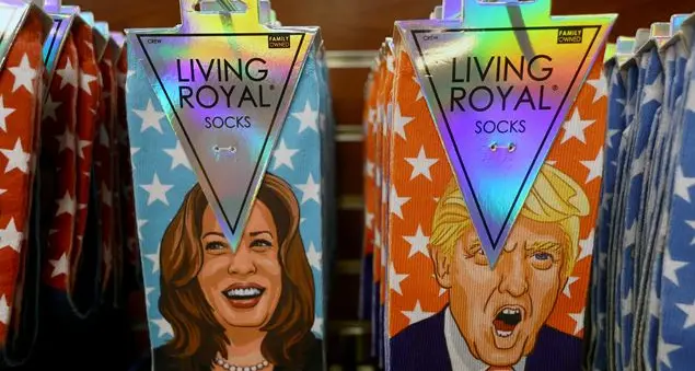 Elezioni Usa, ecco come si vota per scegliere il nuovo presidente