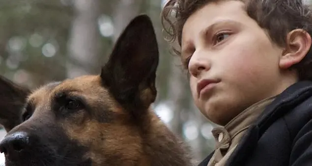 Il cane eroe che salva il suo padroncino dall'orrore dei lager