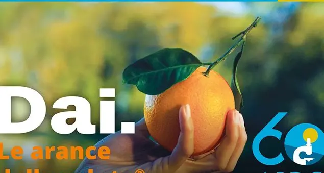 Le arance di Airc con cui dare il nostro contributo alla ricerca contro il cancro