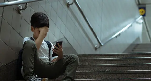 Cyberbullismo, alla scuola servono strumenti e risorse adeguate