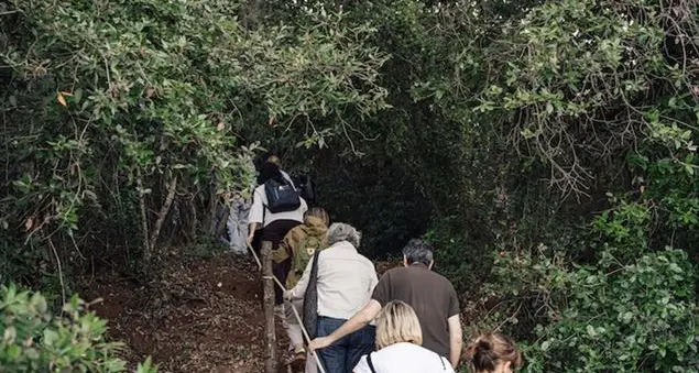 Il Salento dei Paduli che rinasce: «Un patto di comunità contro abbandono delle terre e spopolamento»