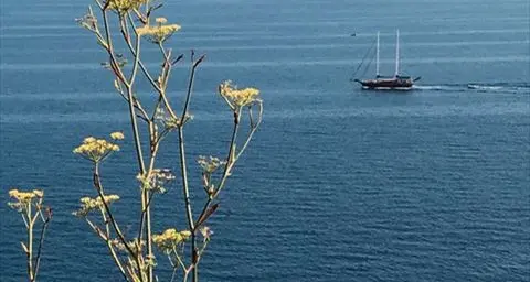 Immagini dal Mediterraneo per finanziare le iniziative Caritas per i giovani migranti