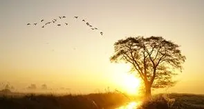 Credere significa non rinunciare alle regole