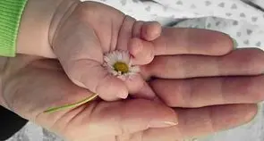 Una società costruita sull’inutilità di Dio è una società infelice