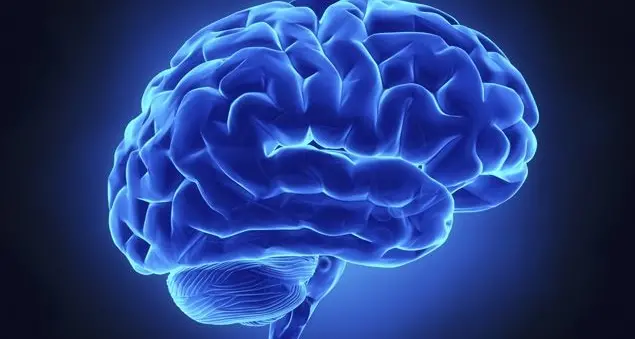 Il navigatore? Nel nostro cervello