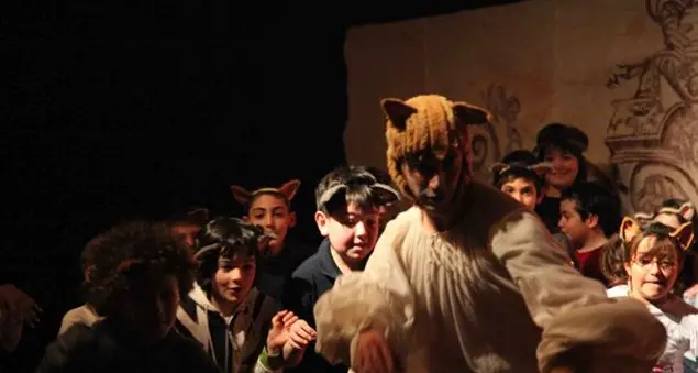 Siete pronti a fare gli spettattori?