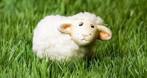 Agnello a Pasqua: Scegliamo il cibo senza violenze sugli animali