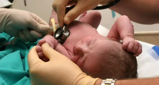 Nascere sicuri, istruzioni per l'uso